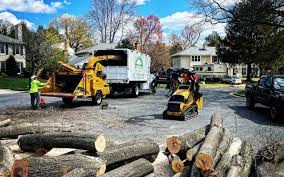 Best Lawn Grading and Leveling  in Melbourne Beach, FL