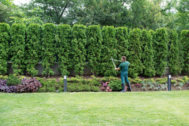 Best Weed Control  in Melbourne Beach, FL