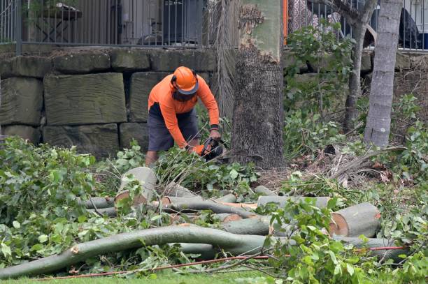 Best Tree Risk Assessment  in Melbourne Beach, FL